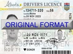 alberta_fake_driver_license