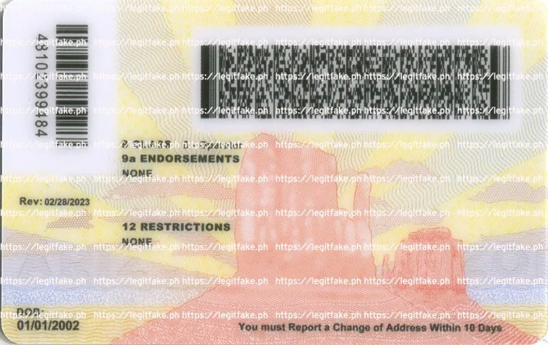 Arizona ID - Image 2