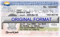 british_columbia_fake_driver_license