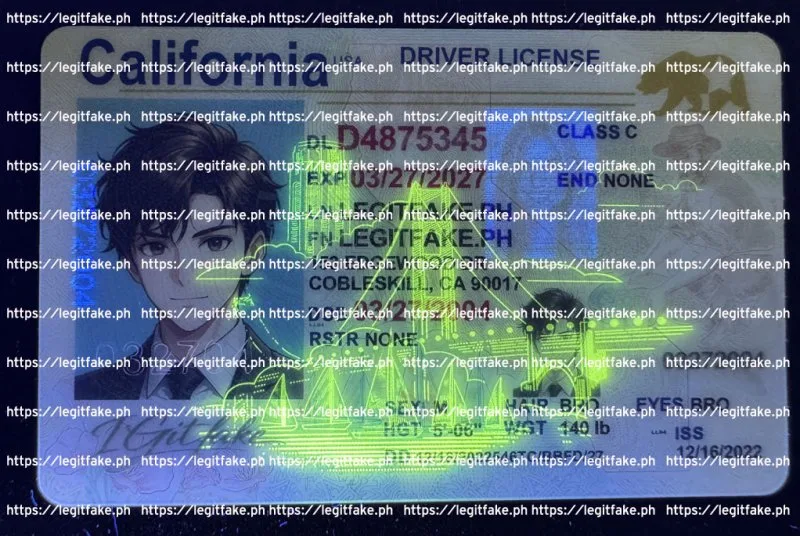 California ID - Image 4