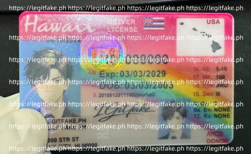 Hawaii ID - Image 3