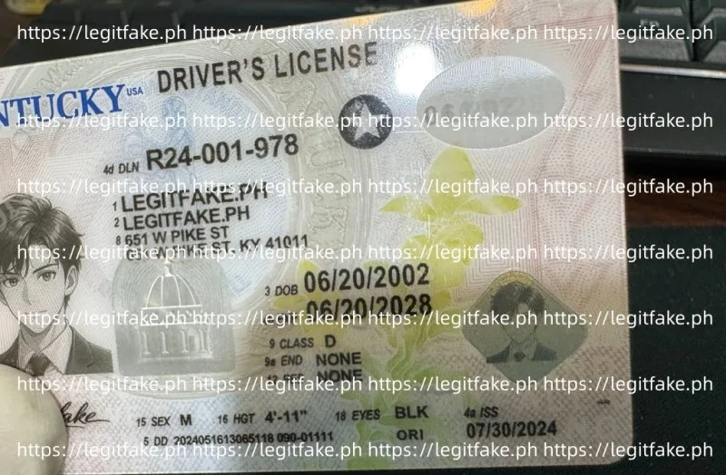 Kentucky ID - Image 4