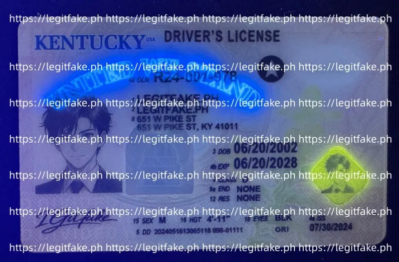 Kentucky ID - Image 3
