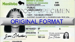 manitoba_fake_driver_license