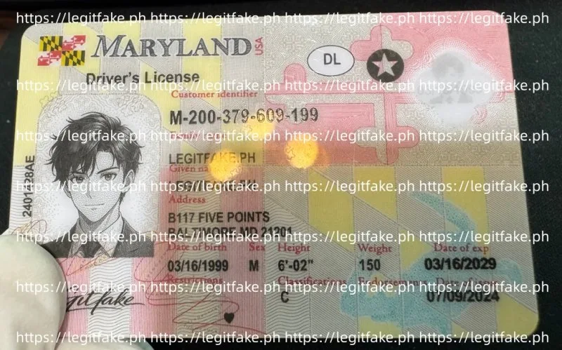 Maryland ID - Image 3
