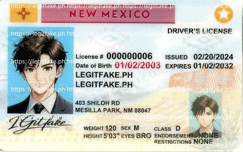 New Mexico ID