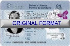 ontario_fake_driver_license_small