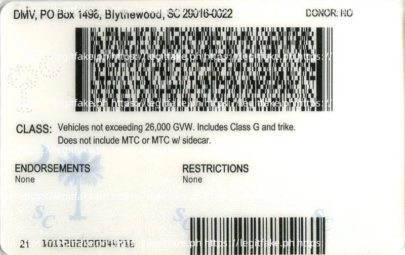 South Carolina ID - Image 2