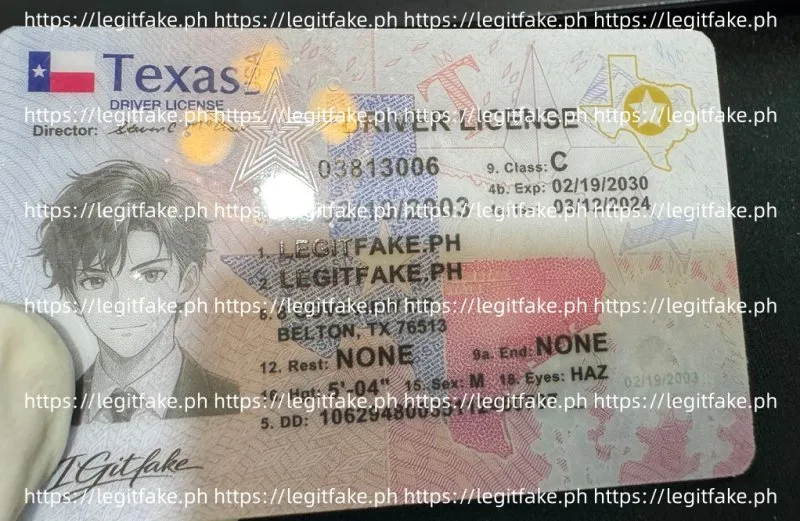 Texas (2020) ID - Image 4